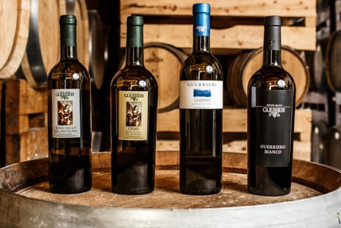 Vino e botti