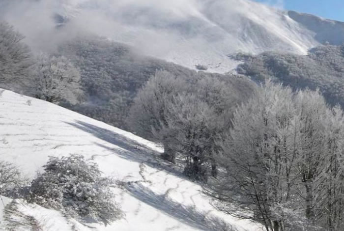 Berge und Schnee