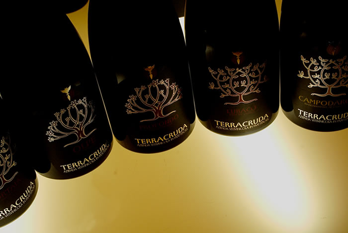 Terra Cruda